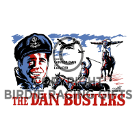 The Dan Busters By Birdie