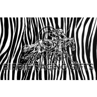 Racing Stripes