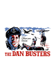 The Dan Busters By Birdie