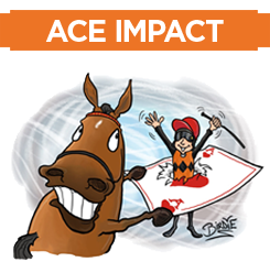 Ace Impact